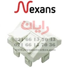 قاب پریز شبکه نگزنس ۴۵ درجه(فیس دو پورت)